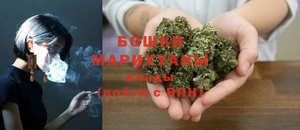 шишки Балахна
