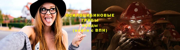 шишки Балахна