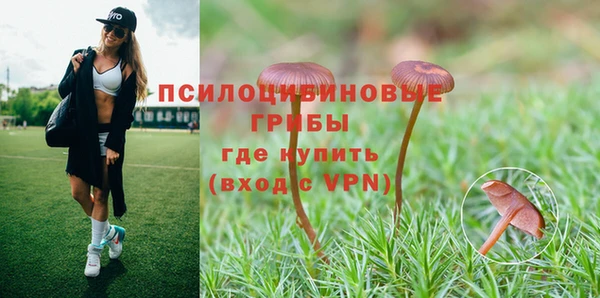 spice Пестово