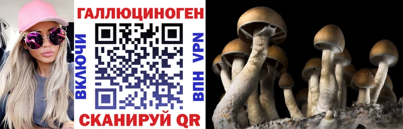 цена наркотик  Сергач  Псилоцибиновые грибы Cubensis 